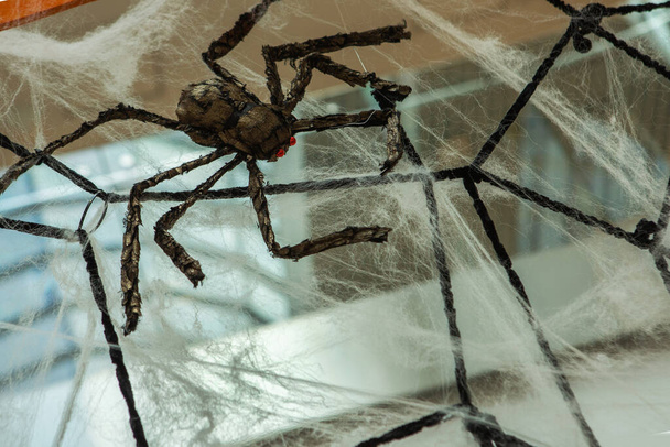 Une vue de côté d'araignée à partir de laquelle une toile d'araignées pend. - Photo, image