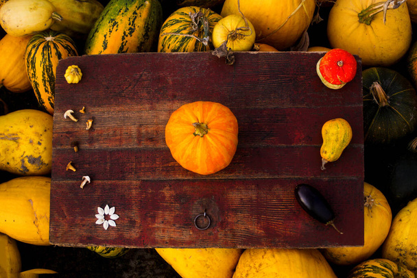Autumn frame Composition and layout made of pumpkins, mushrooms, eggplant, seeds Aged old antique background Top view, flat lay and copy space Harvest festival thanksgiving design Selective focus. - Photo, Image