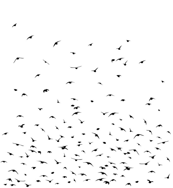 Een zwerm vliegende vogels. Vectorillustratie - Vector, afbeelding