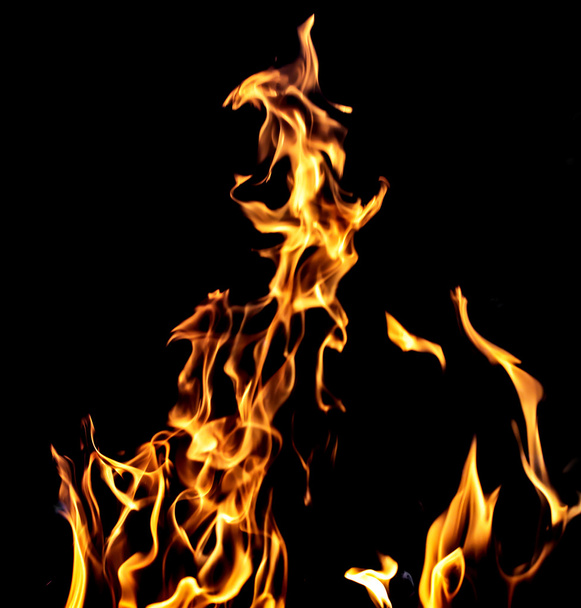 Fire on a black background - Zdjęcie, obraz