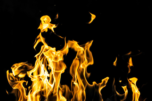 Fire on a black background - Foto, Imagen