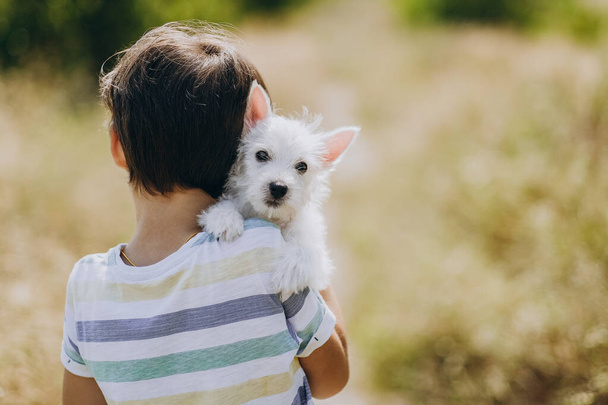 Friendship of a child with a dog. Happy boy holding a West Highland White Terrier puppy in his arms. The child walks with his puppy in the summer in the park. The boy's favorite puppy in nature. - Photo, Image