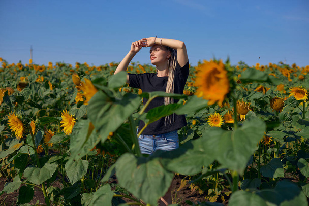a tourist girl stands in the middle of a flowering field of sunflowers - Foto, immagini