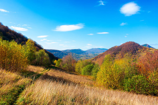 autumnal landscape in carpathian mountains. trees in colorful foliage on a grassy hills rolling in to the distant ridge. beautiful scenery on a warm sunny day with clouds on the sky - Фото, изображение