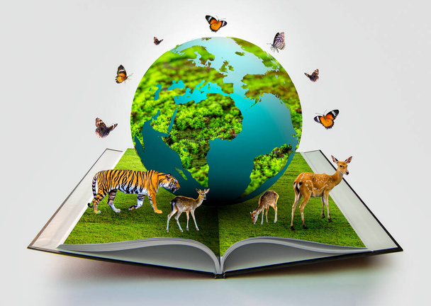 De wereldbol staat op het boek en er zijn wilde dieren zoals tijgers, herten en vlinders naast de wereld. - Foto, afbeelding