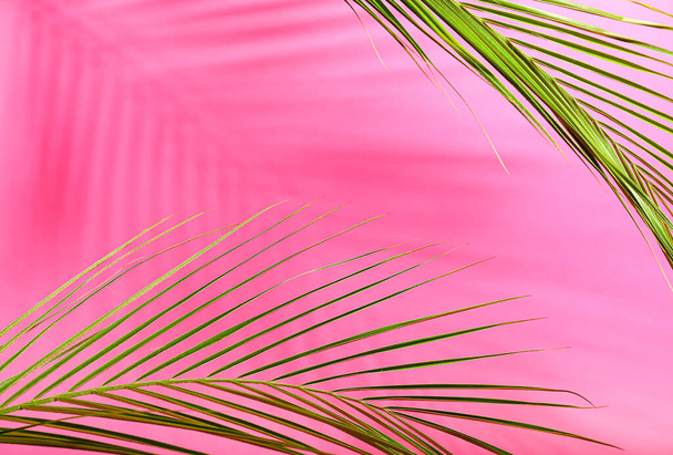 Verse tropische palmbladeren op kleur achtergrond, close-up - Foto, afbeelding
