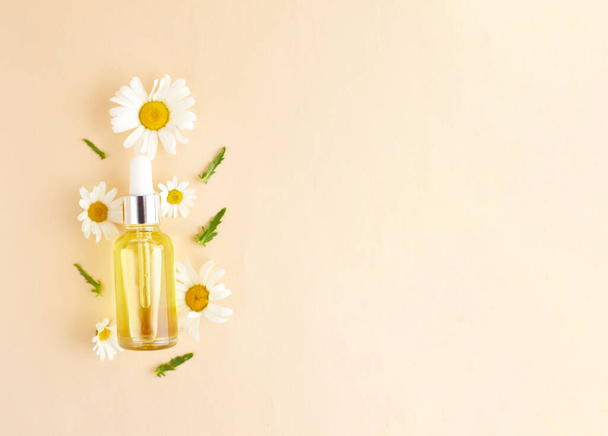 Bio-vegane Naturkosmetik für Haare. Flache Lay Komposition aus Kamillenblüten und Kosmetikflaschen mit ätherischem Öl. Naturschönheit. Ansicht von oben. Raum für Text - Foto, Bild