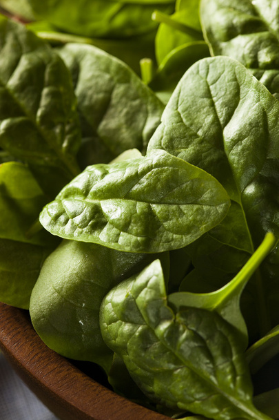 Raw Green Organic Baby Spinach - Photo, image
