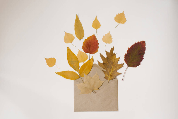 Het concept van post - droge gevallen herfstbladeren van bomen met een envelop op een lichte achtergrond - Foto, afbeelding