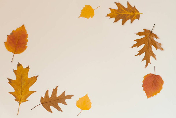 Autumn flat lay background on beige - Photo, Image
