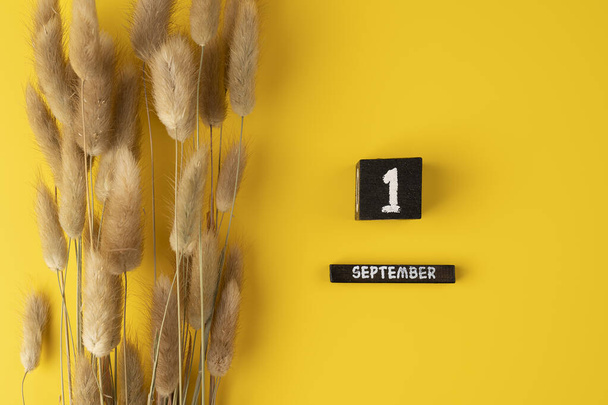 Kompozycja jesienna. Drewniany kalendarz 1 września i suche kwiaty na żółtym tle. Widok z góry Flat lay Mockup Concept Hello September - Zdjęcie, obraz