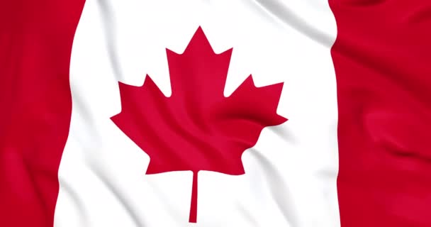 Flag of Canada waving closeup 3d. Seamless looping Canadian flag animation 4k - Footage, Video