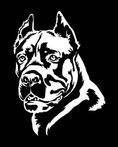 Cane Corso dog portrait vector illustration on black . - Vector, Image