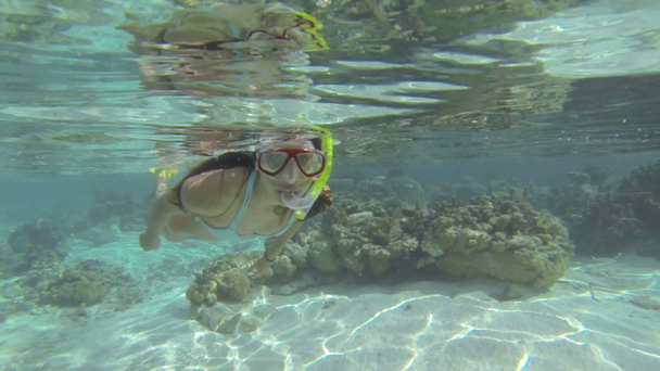Žena, plavání pod vodou - Záběry, video