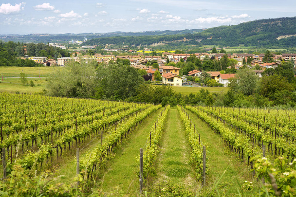 Maaseudun maisema Monferrato, Unescon maailmanperintökohde. Viinitarha lähellä Gavi, Alessandrian maakunta, Piemonte, Italia - Valokuva, kuva