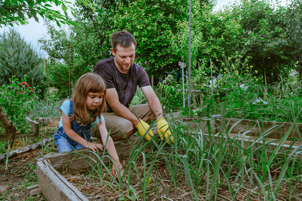 Young man with little 5 years old girl gardening. - Photo, Image
