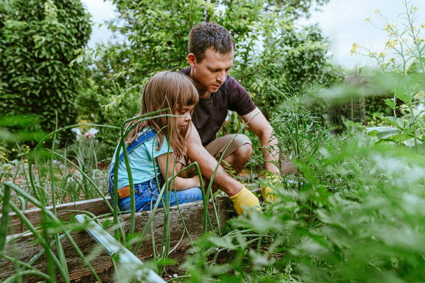 A kislány segít az apjának a farmon. Családi szabadtéri tevékenységek. - Fotó, kép
