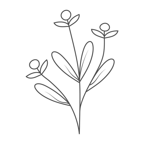 flower is hand-drawn for coloring books, scrapbooking, creative nature design, banners, postcards, invitations and prints. Simple style - Vector, imagen