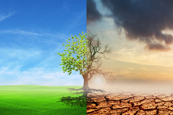 Klimawandel von Dürre zu grünem Wachstum. Der Klimawandel verdorrte die Erde. Konzept der globalen Erwärmung: Ein vergleichendes Bild eines toten Baumes und eines Baumes als Konzept des globalen Umweltwandels. - Foto, Bild
