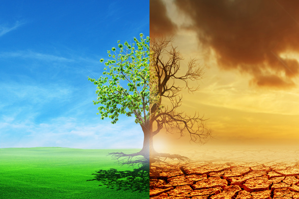 Cambio climático de la sequía al crecimiento verde. el cambio climático marchitó la tierra. Concepto de calentamiento global.Una imagen comparativa de un árbol muerto y un árbol como concepto de cambio ambiental global. - Foto, Imagen