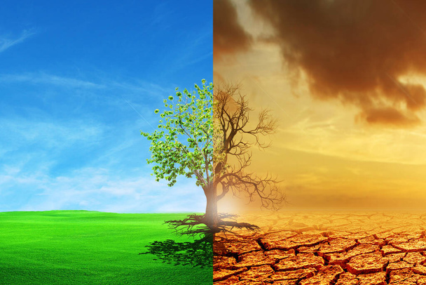 Klimawandel von Dürre zu grünem Wachstum. Der Klimawandel verdorrte die Erde. Konzept der globalen Erwärmung: Ein vergleichendes Bild eines toten Baumes und eines Baumes als Konzept des globalen Umweltwandels. - Foto, Bild