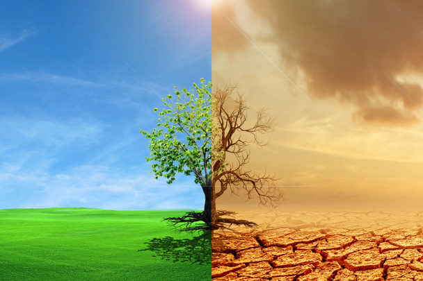 Изменение климата от засухи к зеленому росту. изменение климата засохла земля. Концепция глобального потепления. Сравнительная картина мертвого дерева и дерева как концепции глобальных изменений окружающей среды. - Фото, изображение