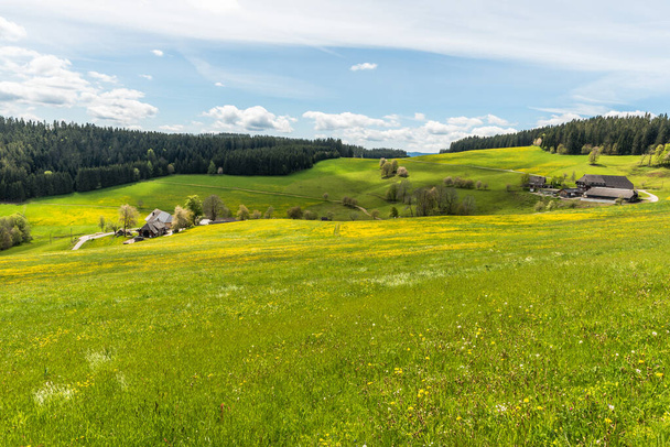 Paisaje en la Selva Negra con casa de campo y prado de flores, Jostal cerca de Breitnau, Baden-Wuerttemberg, Alemania - Foto, Imagen
