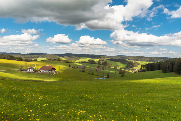 Agriturismi e prati fioriti nella Foresta Nera, Jostal vicino a Breitnau, Baden-Wuerttemberg, Germania - Foto, immagini