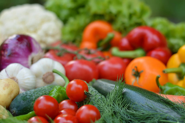 Beautiful fresh organic vegetables . The concept of gardening, healthy eating, vegetarianism. - Valokuva, kuva