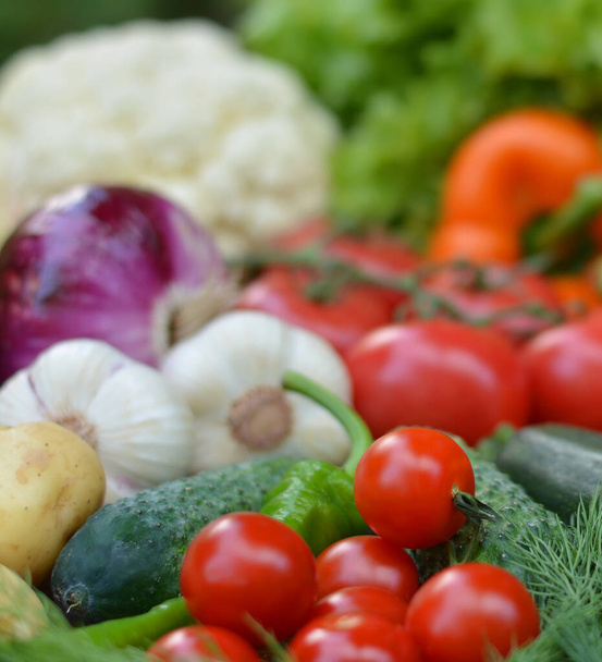 Színes, organikus ételek. Friss nyers zöldség. Egészséges vegetáriánus étel.Vegetáriánus étkezési koncepció - Fotó, kép