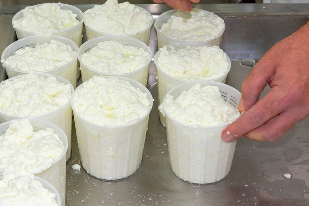 фазы производства рикотты на сырном заводе в Греции - Фото, изображение