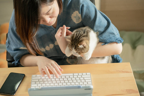 Asyalı kadın kedisiyle oynuyor, tablet toplantısını kullanıyor ve evden çalışıyor. - Fotoğraf, Görsel