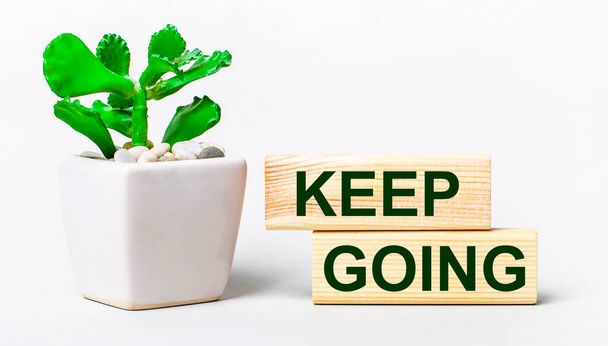 On a light background, a plant in a pot and two wooden blocks with the text KEEP GOING - Photo, Image