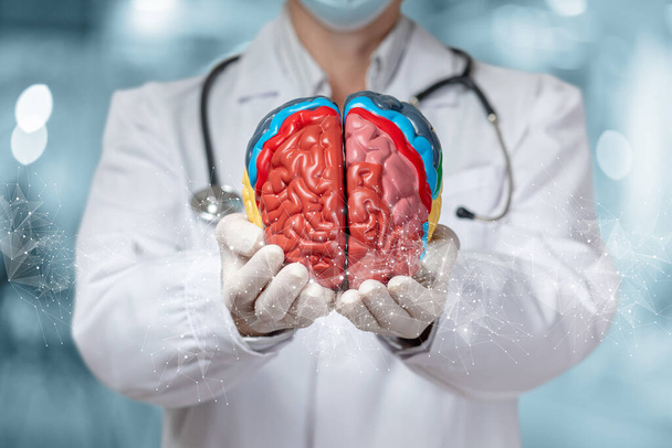 Arzt zeigt ein Modell des Gehirns auf verschwommenem Hintergrund. - Foto, Bild