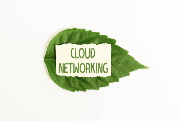 Käsinkirjoitusmerkki Cloud Networking. Liiketoimintakonseptin hankinta ja hyödyntäminen yhden tai useamman verkkoresurssin avulla Ympäristön säästäminen Ideat ja suunnitelmat, Kestävien tuotteiden luominen - Valokuva, kuva
