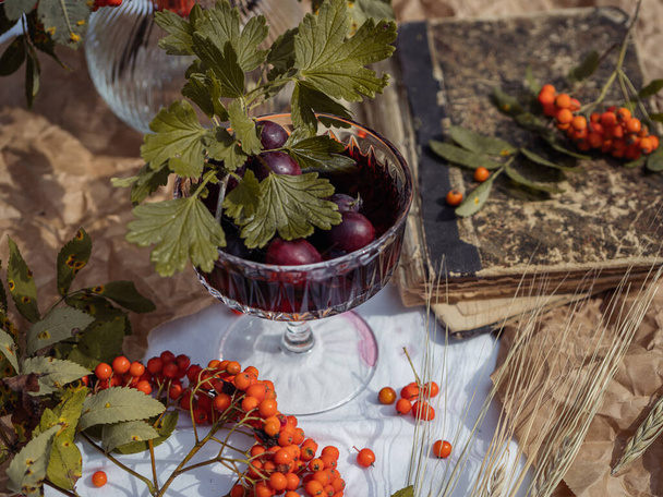 Still life with a glass of red wine, gooseberries and mountain ash. Autumn mood concept. - Foto, imagen