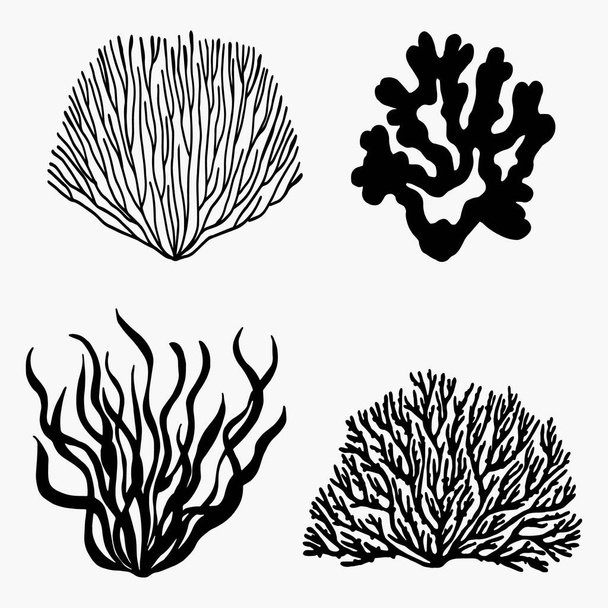 seaweed sea food set vector. natural food - Вектор, зображення
