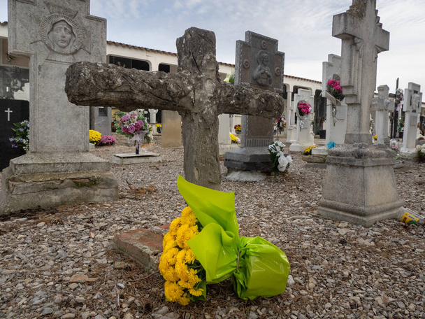Yellow flowers on a headstone in a cemetery with many headstones in the background. Day of the Dead - Photo, Image