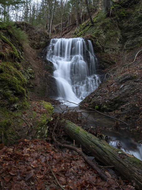 A vertical shot of a waterfall in the forest - Valokuva, kuva