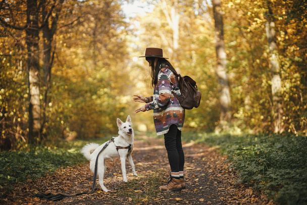 Stilvolle Frau mit Hut und Rucksack spielt mit lustigen süßen Hund in sonnigen Herbstwäldern. Junge Hipsterin trainiert Schweizer Schäferhund White Dog. Reisen und Wandern mit Haustier. Teamarbeit - Foto, Bild