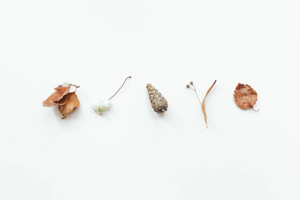 Autumn leaves on white background. Autumn, fall concept. Flat lay, top view, copy space - Foto, immagini