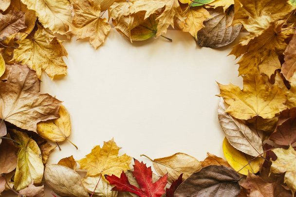 Творческий макет из осенних листьев. Осенняя концепция. Autumn background.Flat lay, top view, copy space, layout - Фото, изображение
