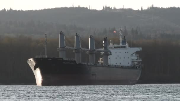 Μεγάλο φορτηγό πλοίο βρίσκεται αγκυροβολημένο στον ποταμό Κολούμπια μεταξύ Ουάσινγκτον και Όρεγκον. - Πλάνα, βίντεο