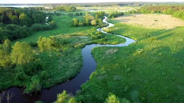 Aerial view of natural river during morning - Video