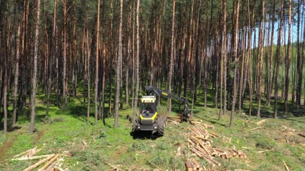 Forestry machines chopping trees - aerial footage - Footage, Video