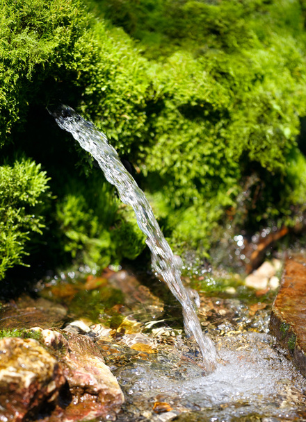 source of spring water - Photo, Image