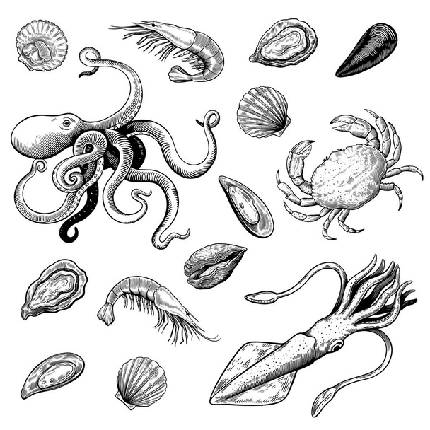 Seafood in hand drawn woodcut style in black and white colors, mollusks, shrimps and crab. - Vektor, kép