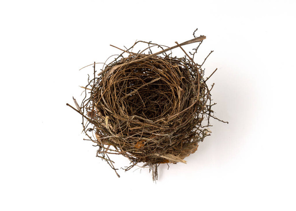 Bird nest isolated on white background. - Fotó, kép