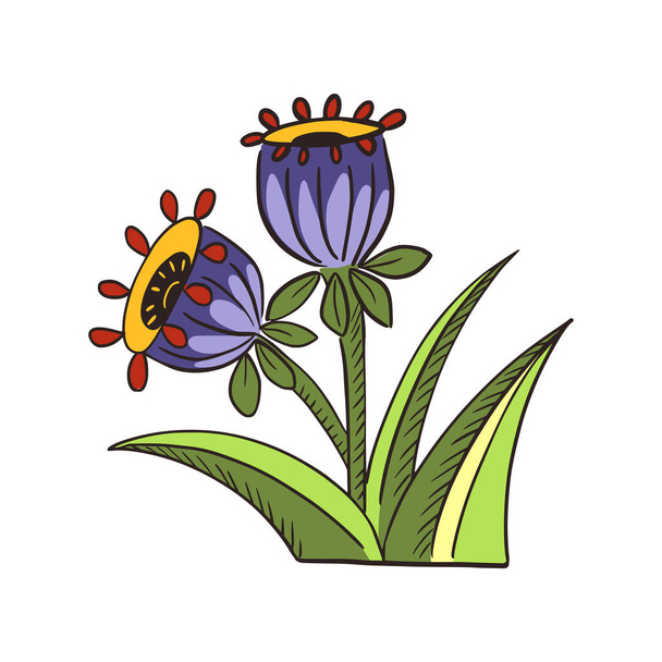 Folclore Bluebell isolado em fundo branco. flor de primavera colorida étnica. Bonita planta de verão em estilo tradicional. Projete para qualquer finalidade. Ilustração vetorial. - Vetor, Imagem