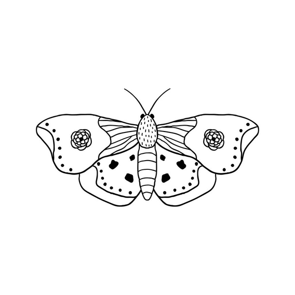 Vlinder in doodle stijl - Vector, afbeelding